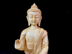 Amoghshiddhi Buddha cast in cream coloured resin. His right hand is held up facing outwards in the gesture of protection of fearlessness while his left hand sits in his lap in the gesture of meditation. Cast in solid resin, then hand finished to a very high standard. Measurements: height 26 cm, width 18 cm, depth 12 cm