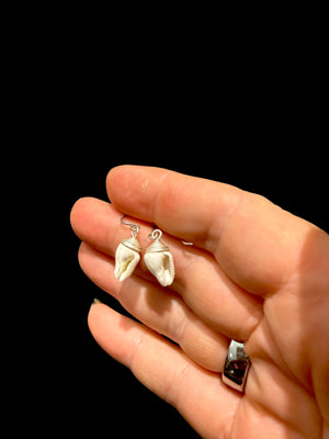 Simple and petite natural shell earrings finished with sterling silver mounts and hooks. Length including hook 2.7 cm