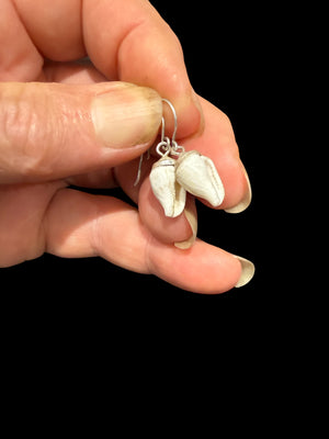 Simple and petite natural shell earrings finished with sterling silver mounts and hooks. Length including hook 2.7 cm