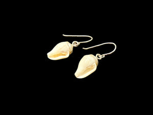 Simple and petite natural shell earrings finished with sterling silver mounts and hooks. Length including hook 2.7 cm