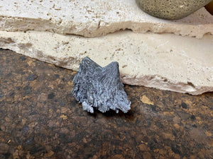 ue fan-shaped black kyanite crystal..  Measurements: 5.5 cm length, width 4 cm