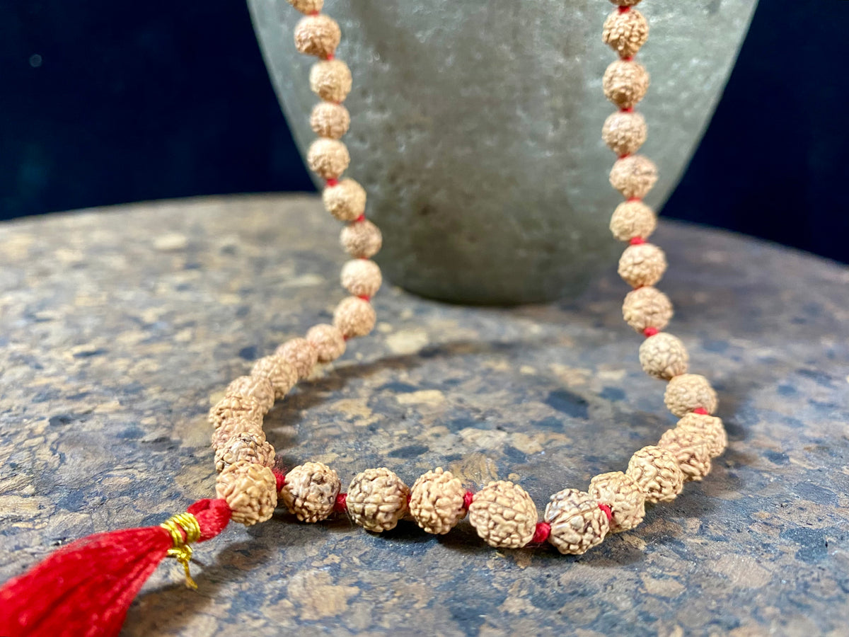 Women or men’s mala necklace, made from small fine rudraksha beads with five mukhi. Knotted between each bead with red thread and finished with a red tassel. As per a standard Buddhist mala, it contains 108 beads. From India