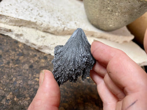 ue fan-shaped black kyanite crystal..  Measurements: 5.5 cm length, width 4 cm