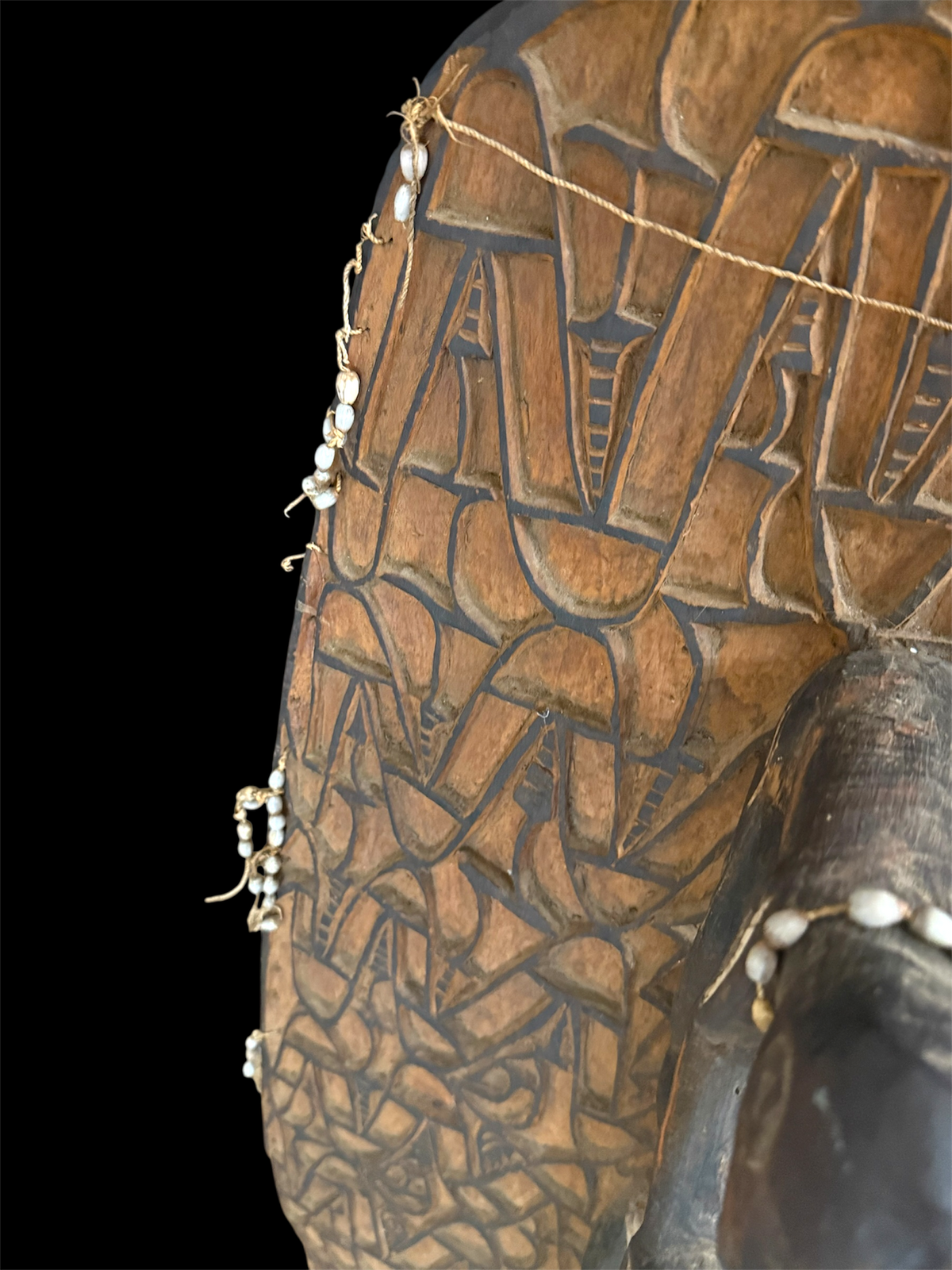 Asmat jungle hardwood shield. Wood carved and decorated with lime, ochre, charcoal, and shell beading. Central Asmat region, Irian Jaya (Indonesian Papua). Measurements: 104 cm x 39 cm, depth 17 cm