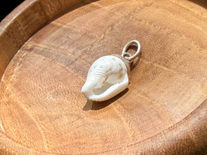 Petite Shell Pendant