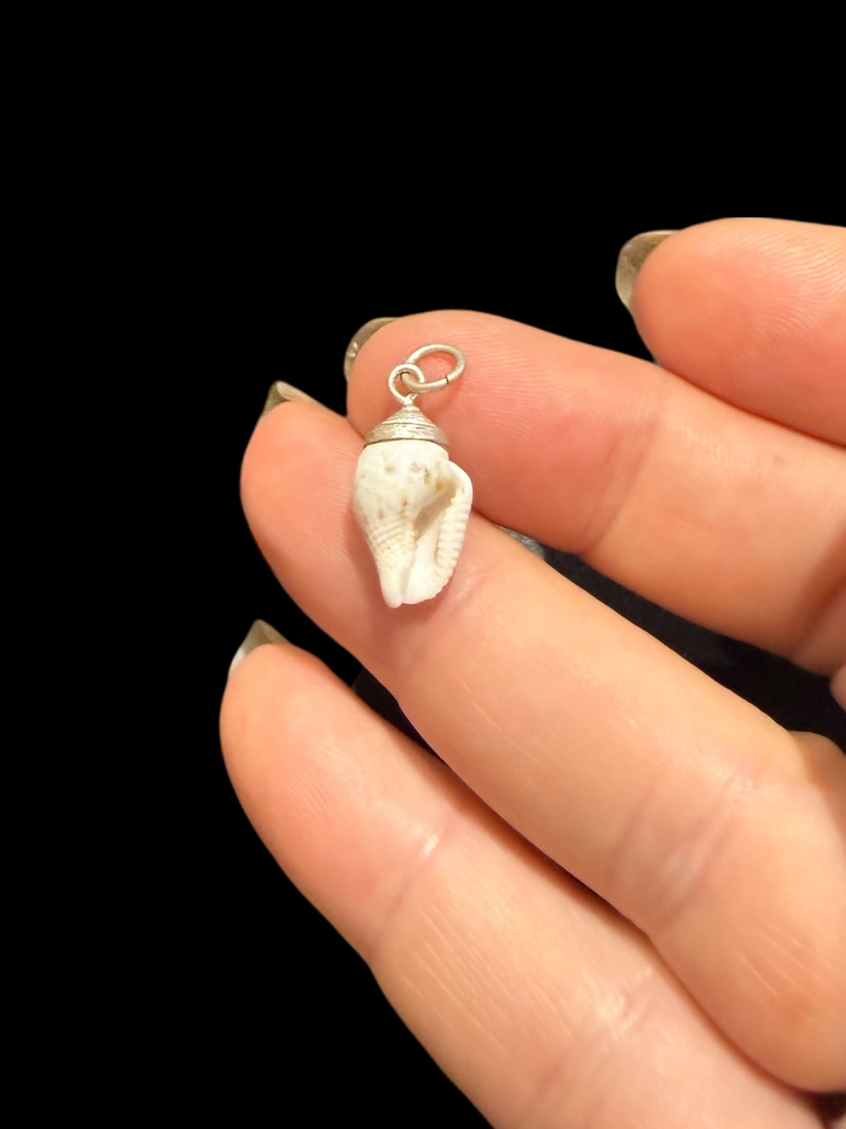 Petite Shell Pendant