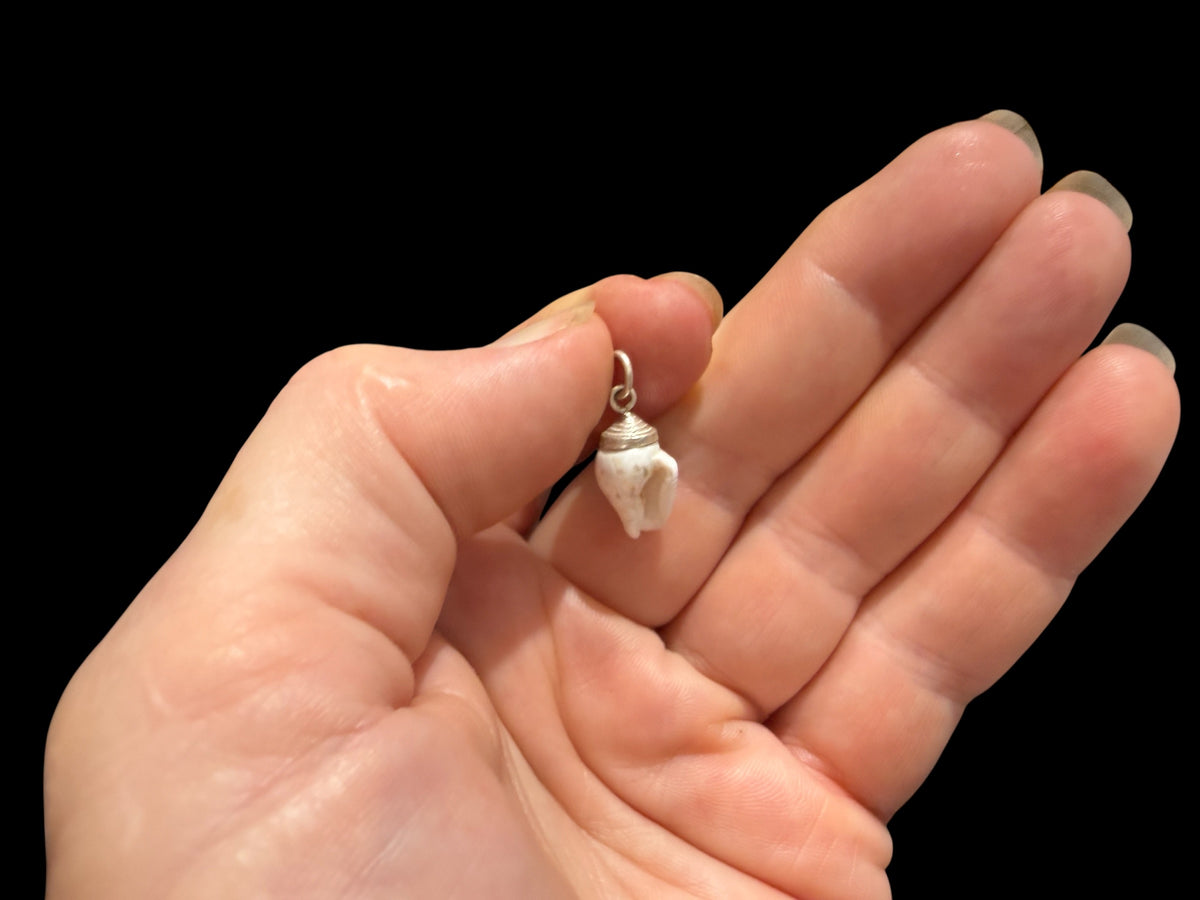 Petite Shell Pendant