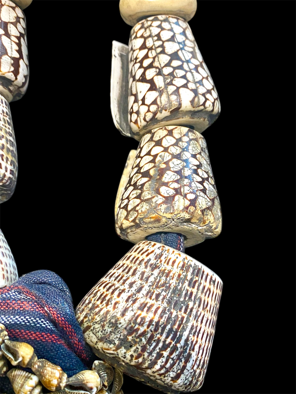 Bontoc woman’s belt (akusan). Cloth, shell, bone. Early 20th century. Bontoc people, Bontoc region, Philippines. Length 91 cm, length of longest shell 6.5 cm